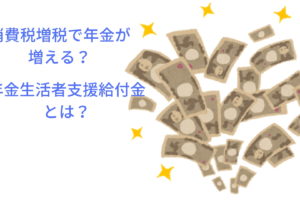 無職の専業主婦の年金半額案検討 半額になるといくらもらえる 第3号